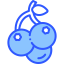 Blackcurrant icon 64x64