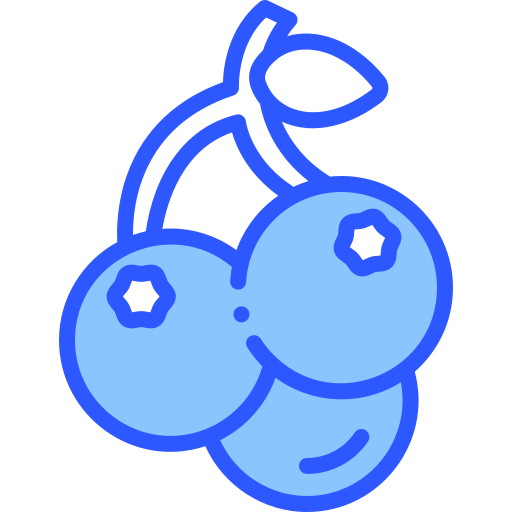 Blackcurrant icon