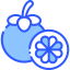 Mangosteen icon 64x64