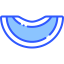Melon icon 64x64