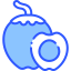 Coconut icon 64x64