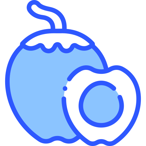 Coconut icon