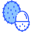 Rambutan icon 64x64