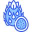 Pitaya icon 64x64