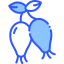 Rosehip icon 64x64