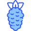 Raspberries icon 64x64
