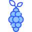 Grapes icon 64x64