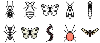 Insects icon pack