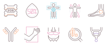 Anatomy icon pack