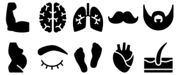 Anatomy icon pack