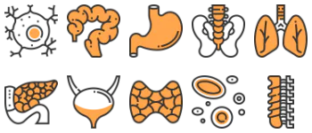 Human organs icon pack