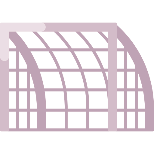 Goal icon