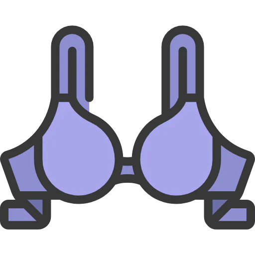 Bra icon