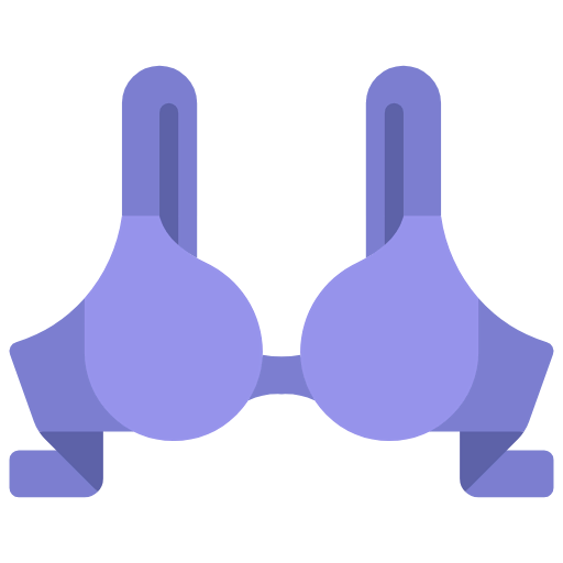 Bra icon