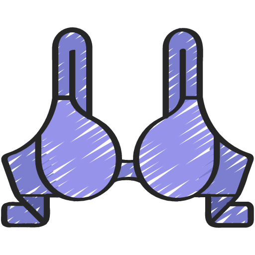 Bra icon