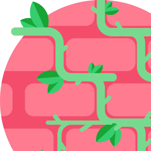Vine icon