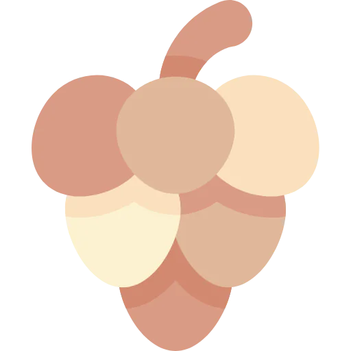 Pine cone icon