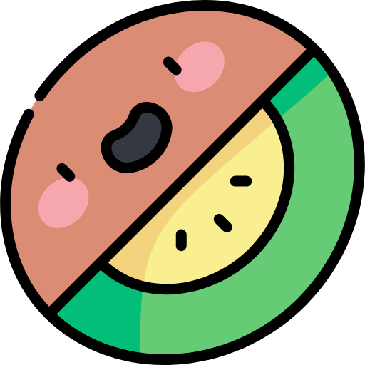 Kiwi icon