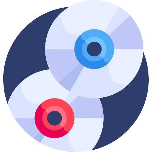Vinyl icon