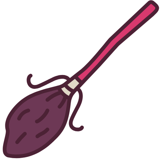 Broom icon