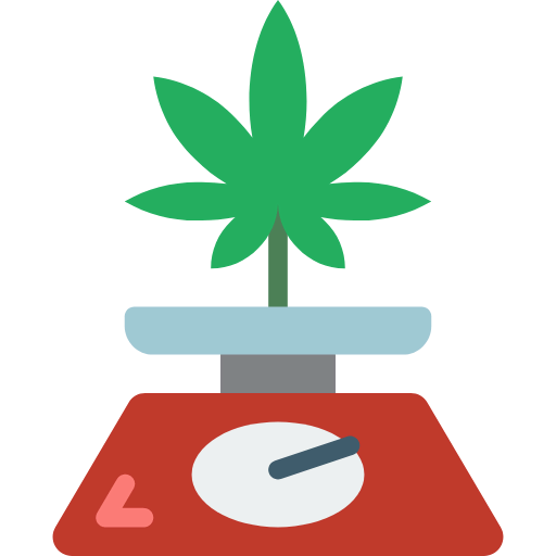 Weight icon