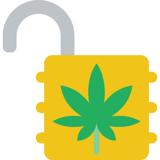 Unlock icon