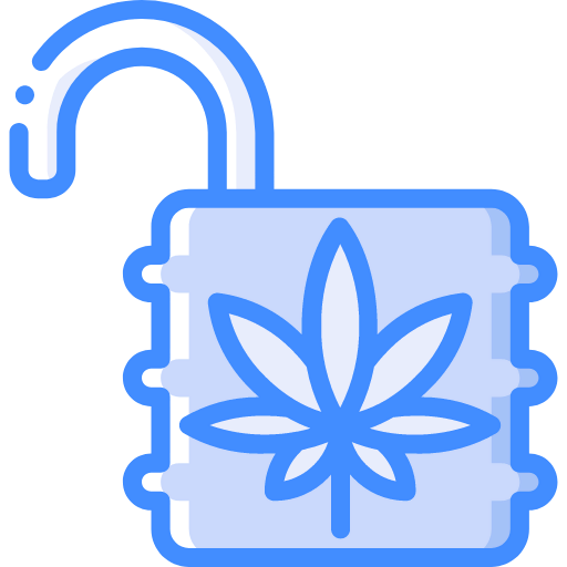 Unlock icon