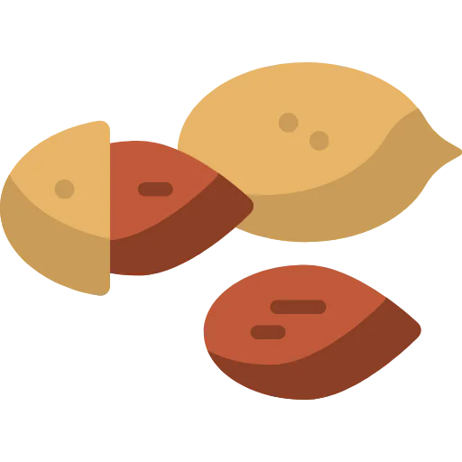 Almonds icon
