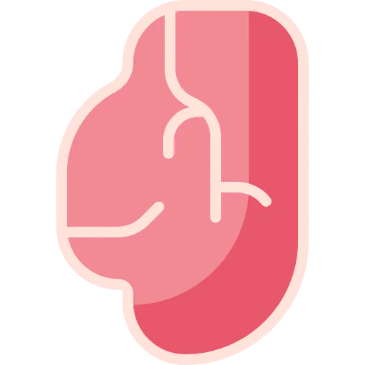 Meat icon