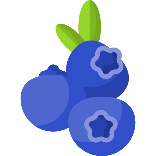 Blueberries icon