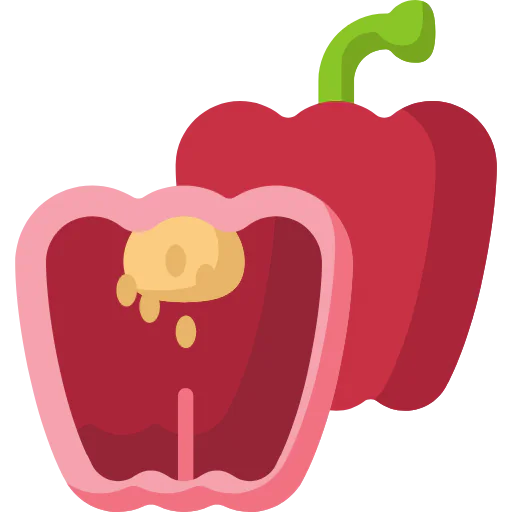 Bell pepper icon