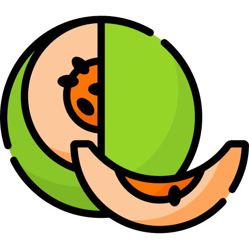 Melon icon