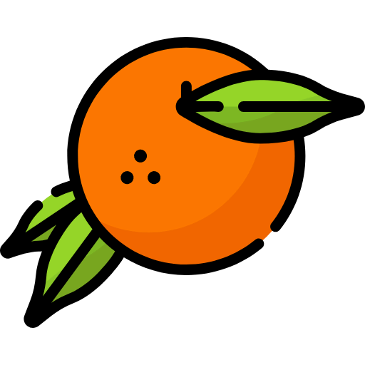 Orange icon