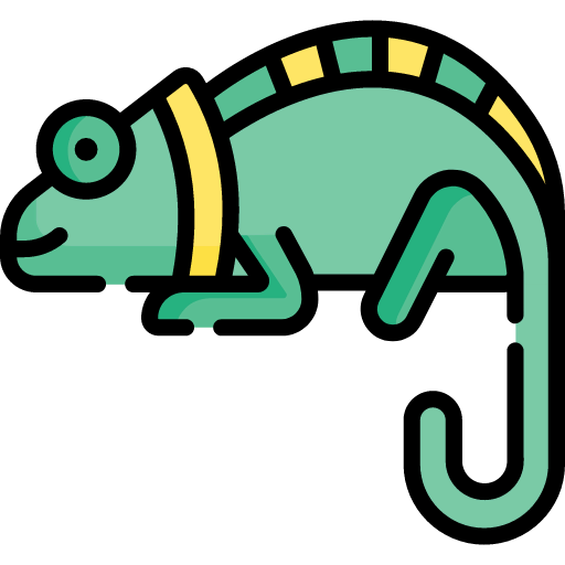 Chameleon icon