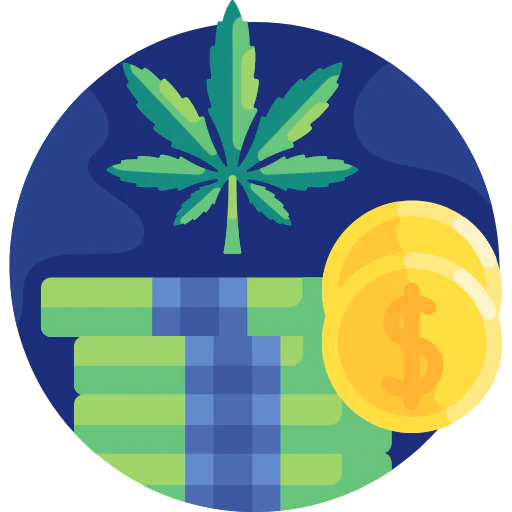 Money icon