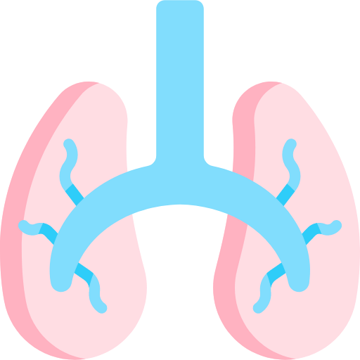 Lungs icon