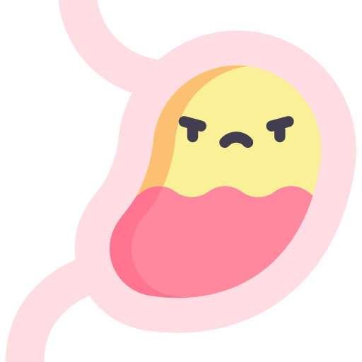 Stomach icon