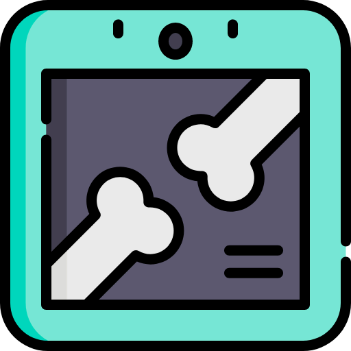 X ray icon