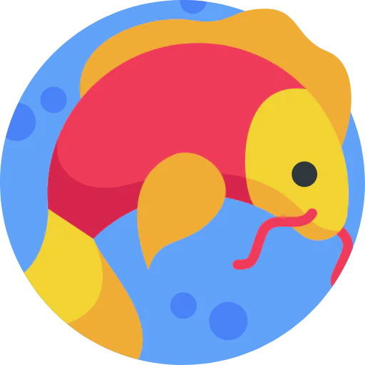 Carps icon