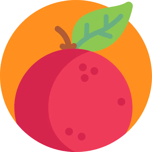 Orange icon