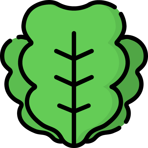 Lettuce Symbol