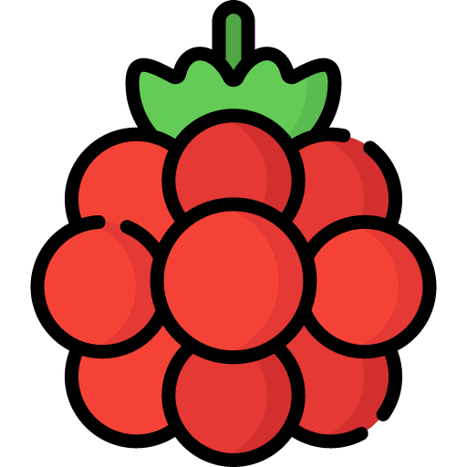 Raspberry ícone