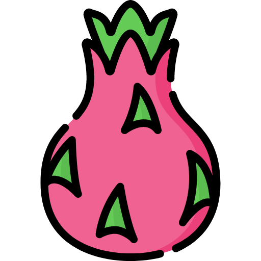 Dragon fruit icon