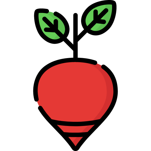 Beetroot 상