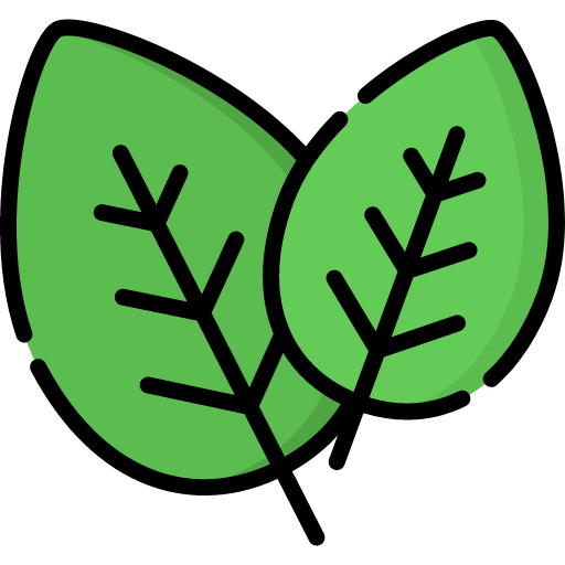 Spinach icon