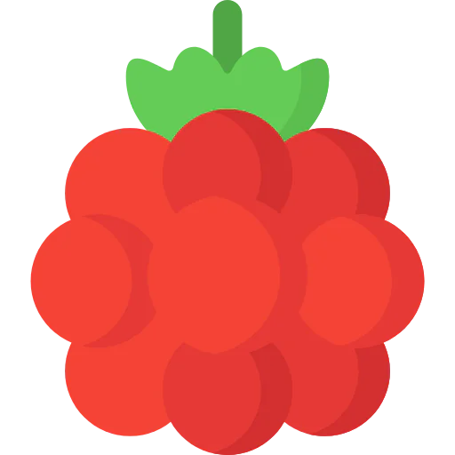 Raspberry 상