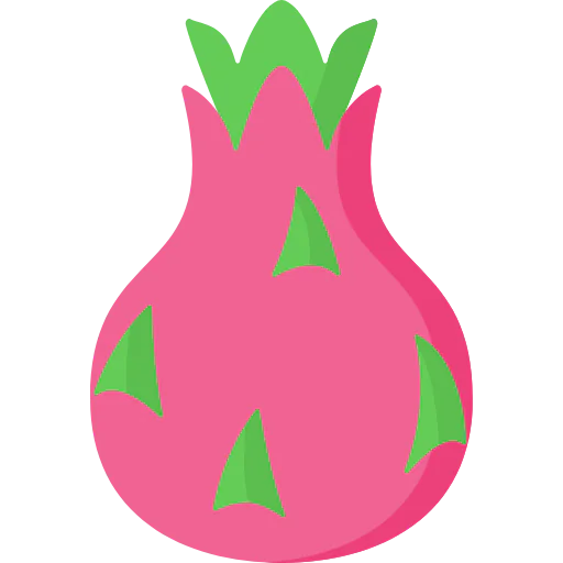 Dragon fruit icon