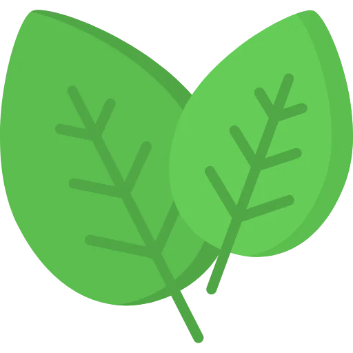 Spinach icon