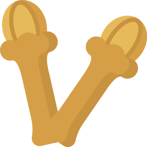 Clove icon