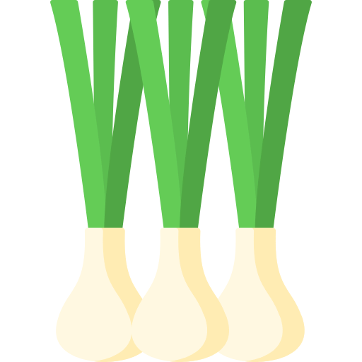Spring onion icon